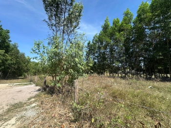 1139m2 có 139m2 Thổ, Đất 2 Mặt Tiền Đường P LaGi Giá Tốt Chạy ra Biển 10p