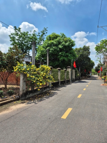 343m2 Nhựa An Linh Ngay Chợ An Linh Gía Full 600tr Ngay Khu Dân Cư