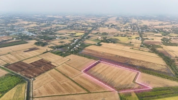 3,5 mẫu đất lúa +RSX mặt tiền ô tô trung tâm huyện Đức Huệ, Long An giá rẻ