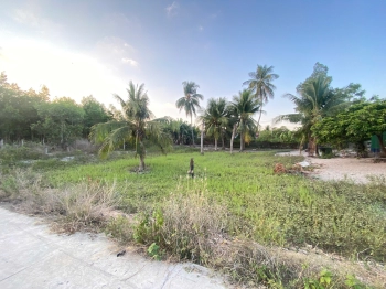 29x35(1000m2) 60m2 Thổ, Hẻm Ngô Tất Tố Cam Bình Gần Biển Sổ Riêng, Giá Rẻ