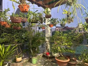 🔥⚡️ NHÀ ĐẸP Ở NGAY-NHÀ CHỦ TÂM HUYẾT XÂY KIÊN CỐ-ĐƯƠNG THÔNG OTO TRÁNH-KHU VỰC DÂN TRÍ CAO,TIỆN ÍCH BẠT NGÀN,TRƯỚC MẶT LÀ CÔNG VIÊN🔥⚡️